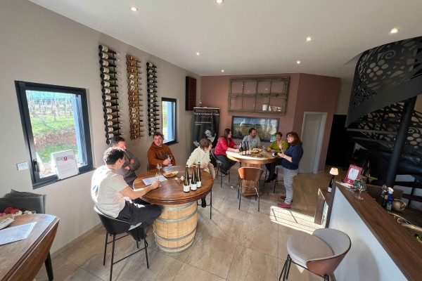 Tasting of Alsace's must-try organic wines - Bonjour Fun