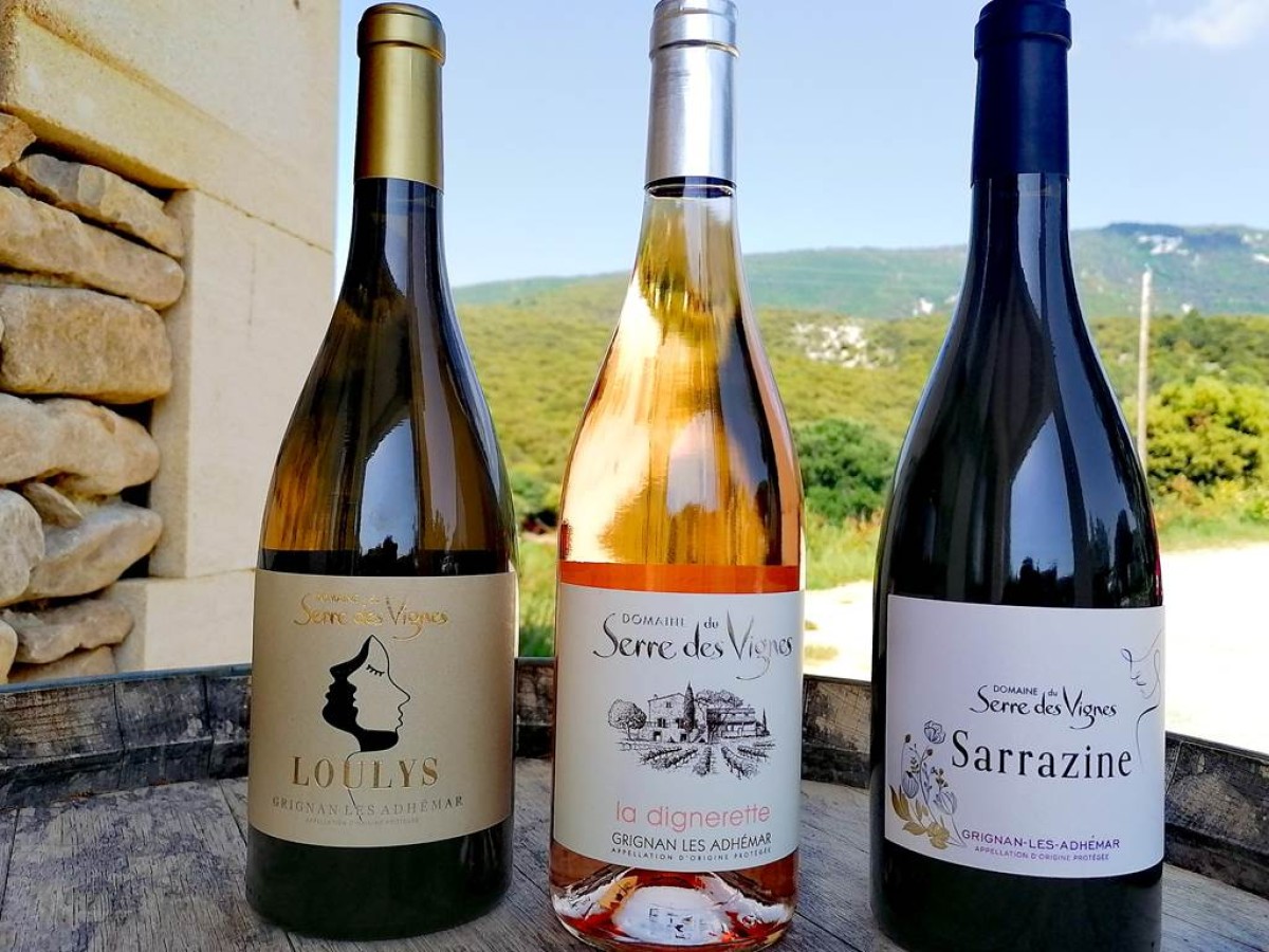 Dégustation gratuite au caveau - Bonjour Fun