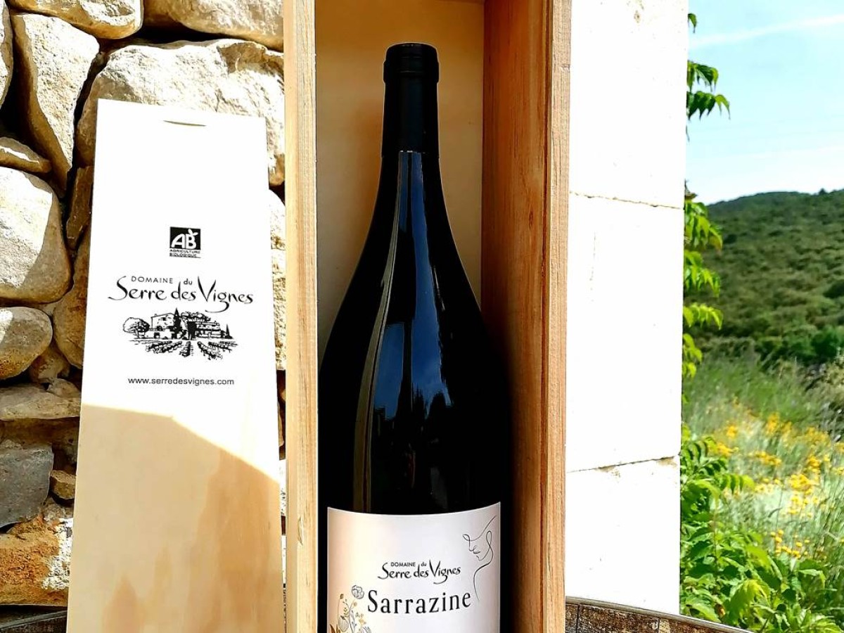 Dégustation gratuite au caveau - Bonjour Fun