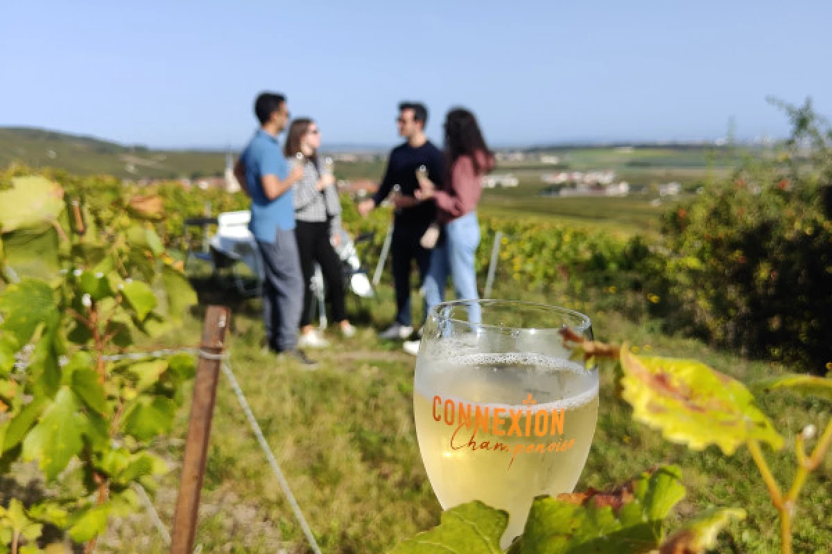 The unmissable Millésimé, tasting in the vineyard - Bonjour Fun