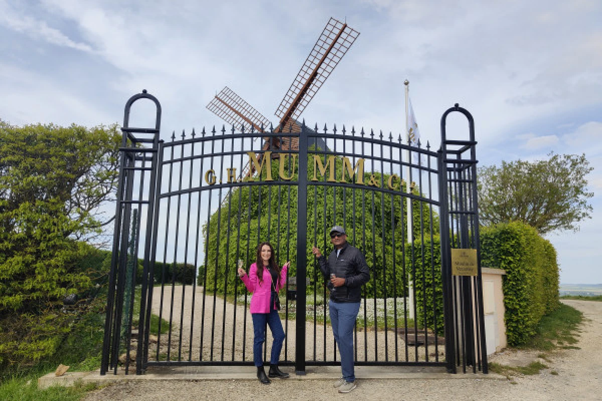 The unmissable Millésimé, tasting in the vineyard - Bonjour Fun