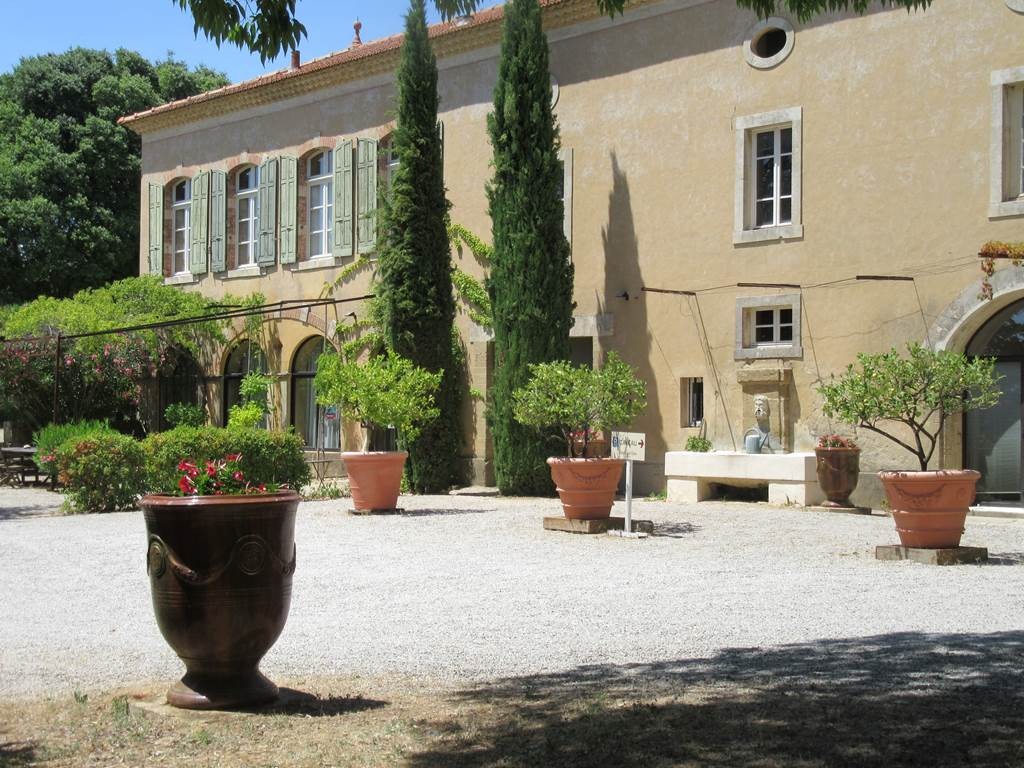 Dégustation & visite : Nos Blancs de Viognier - Bonjour Fun