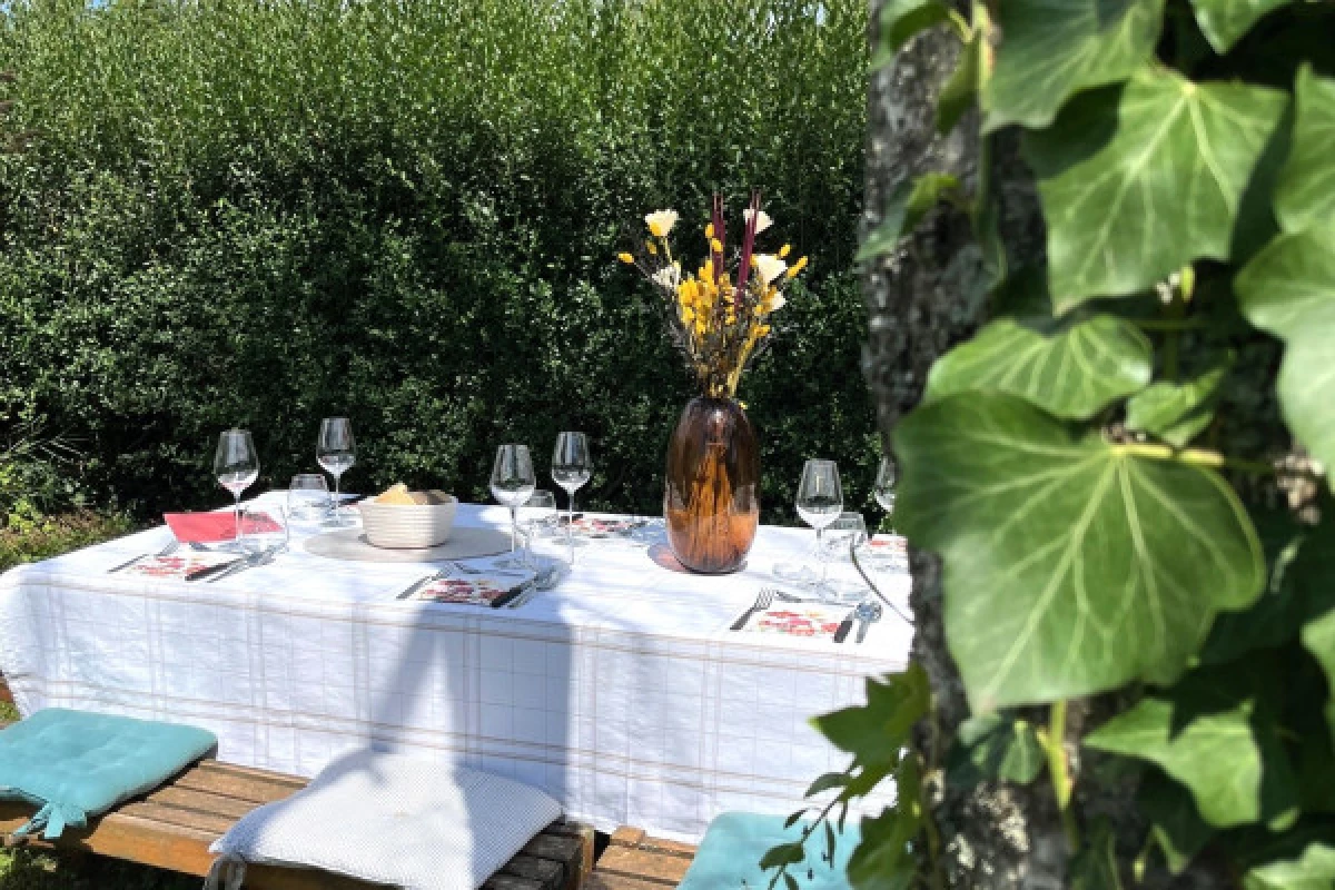 Lunch in the Vineyard - Bonjour Fun