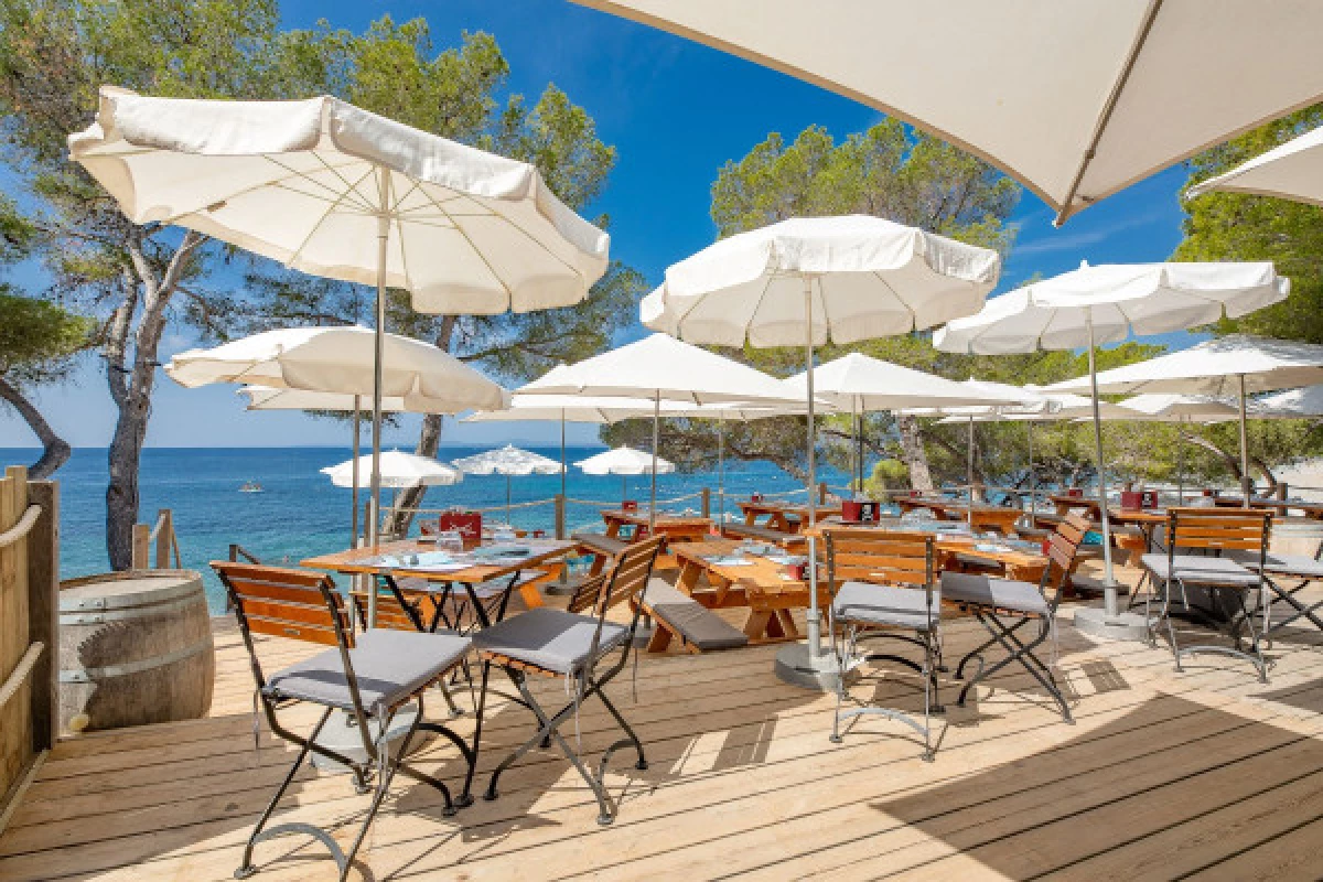 Rental of deckchair on the beach - In front of the Ile d'Or - Bonjour Fun