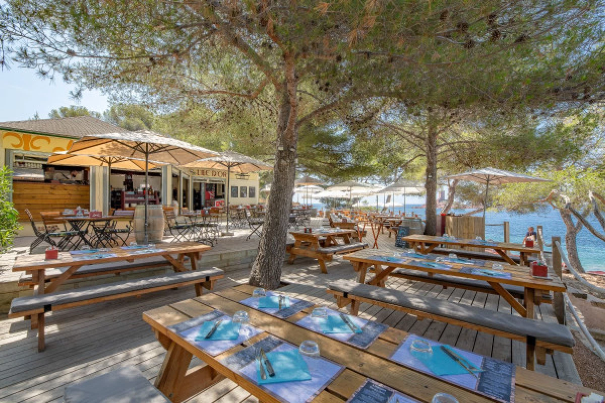 Rental of deckchair on the beach - In front of the Ile d'Or - Bonjour Fun