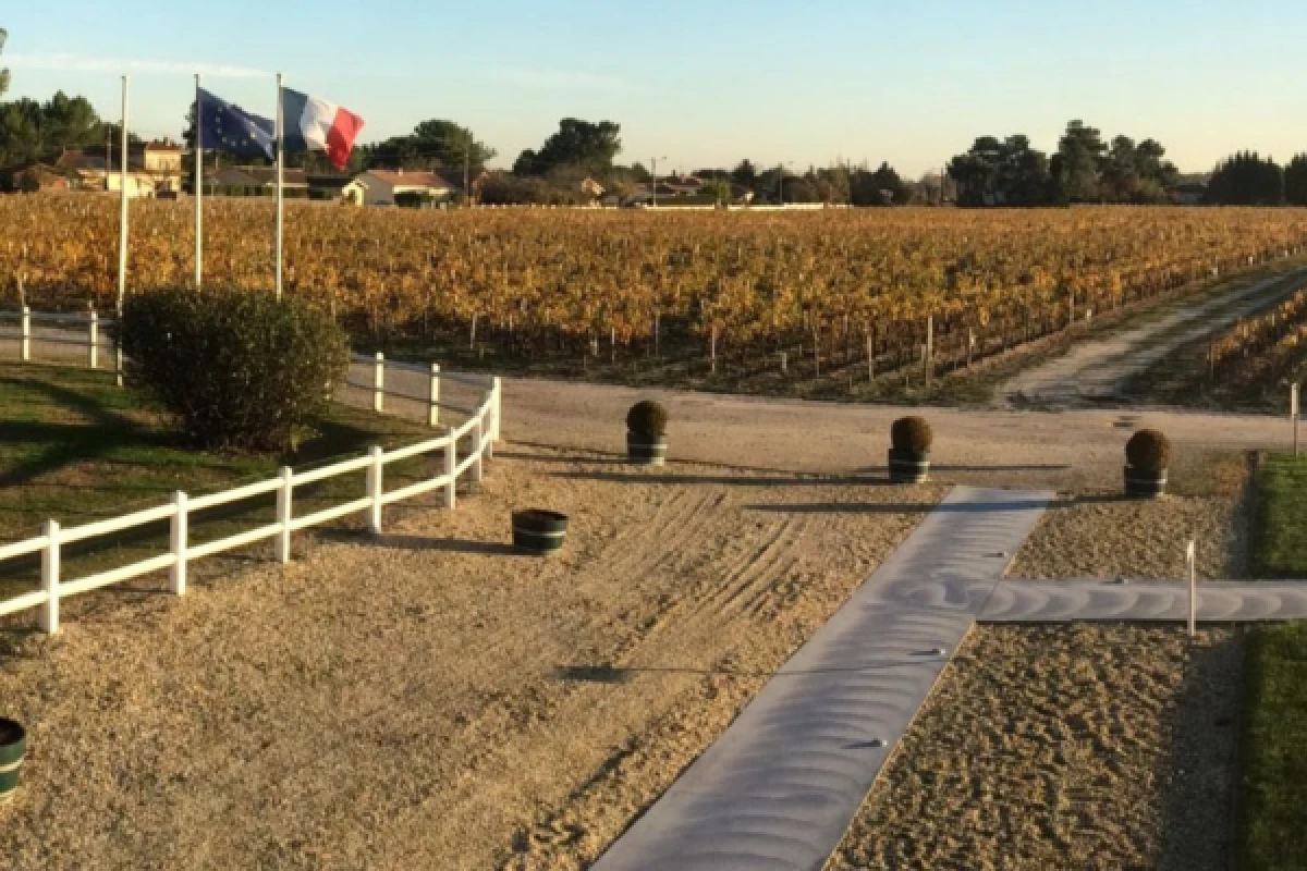 Half-day in the Médoc: 2 wineries & 6 wines - Bonjour Fun