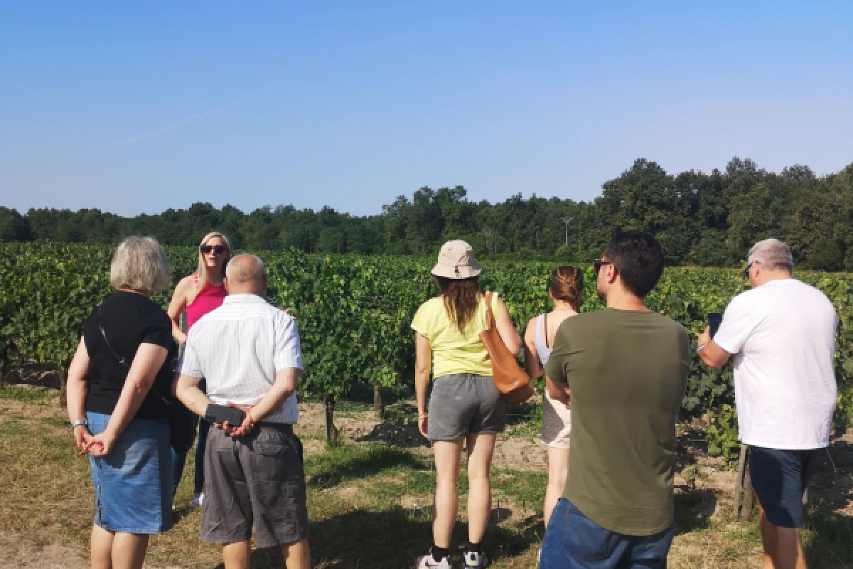 Half-day in the Médoc: 2 wineries & 6 wines - Bonjour Fun