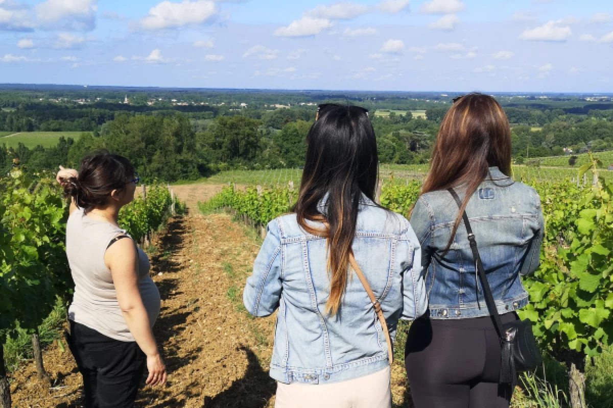 Half-day in the vineyard - off the beaten track - Bonjour Fun