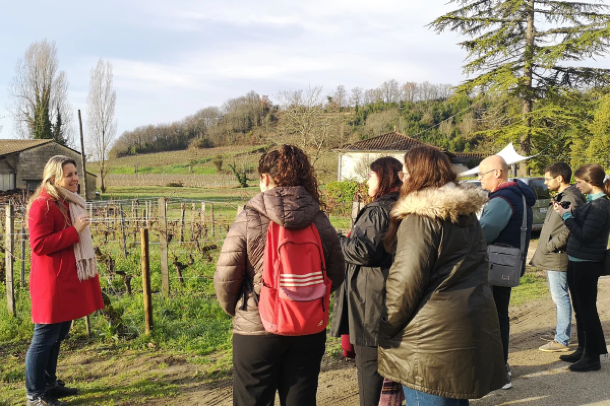 The best of Saint-Émilion in a half-day - Bonjour Fun