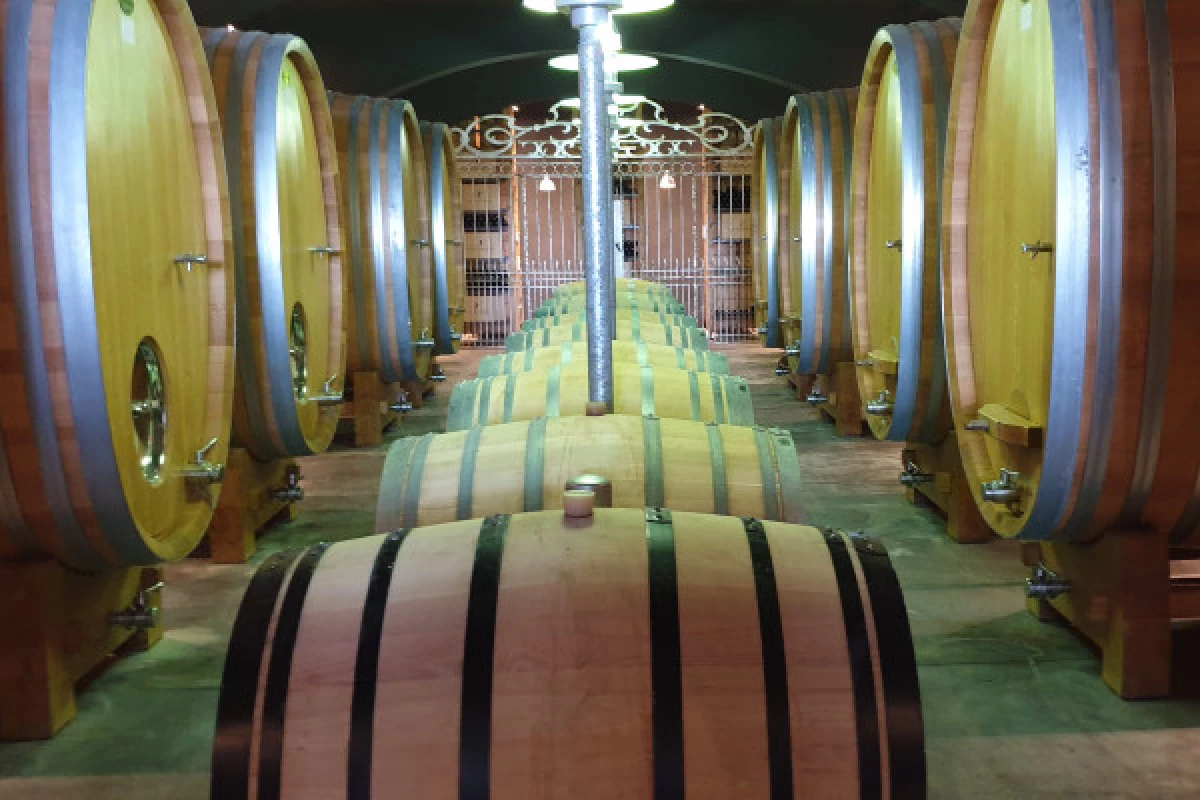 Half-day : Wine-Tour in the Luberon - Bonjour Fun