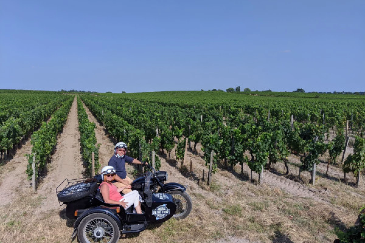 Departure from Saint-Emilion, private ride in the vineyards and wine tasting - Bonjour Fun