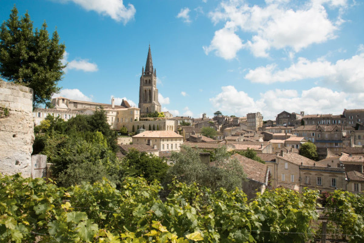 From Bordeaux: A full day in Saint-Emilion private tour. - Bonjour Fun