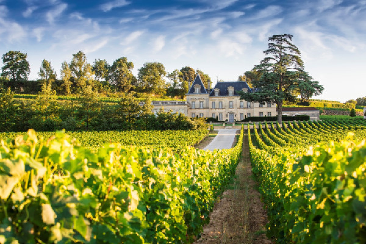 From Bordeaux: A full day in Saint-Emilion private tour. - Bonjour Fun