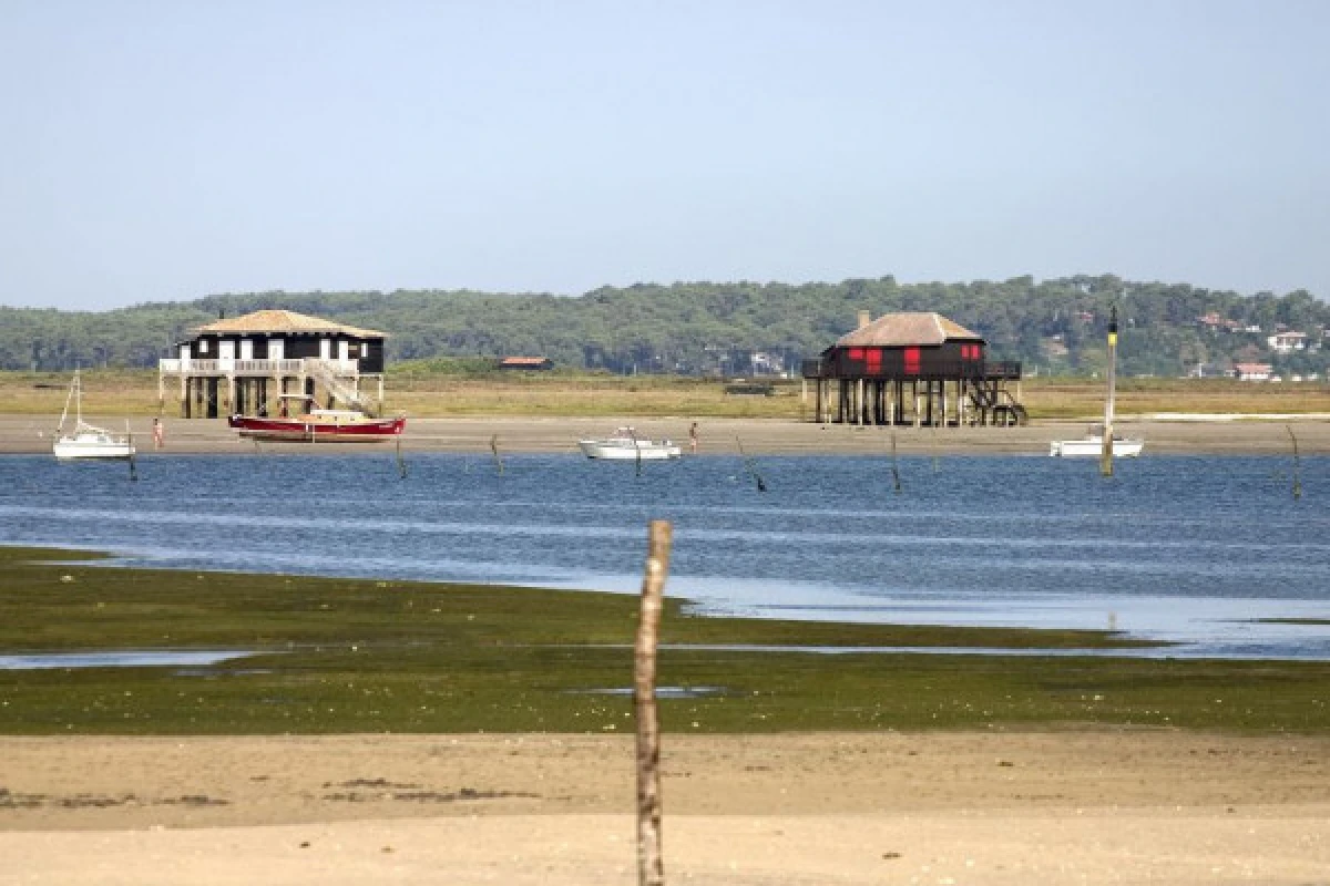 From Bordeaux: Arcachon Bay and Pilat Dune private tour. - Bonjour Fun