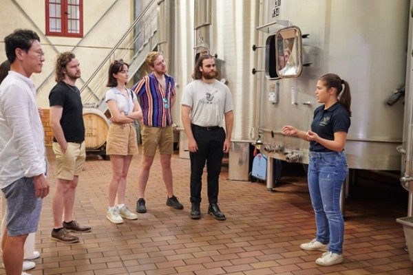 Discovery tour of Château Haut Breton Larigaudière - Bonjour Fun