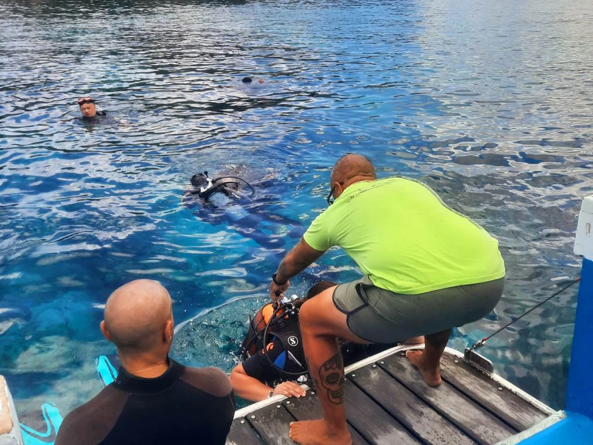 Diving baptism - Bonjour Fun