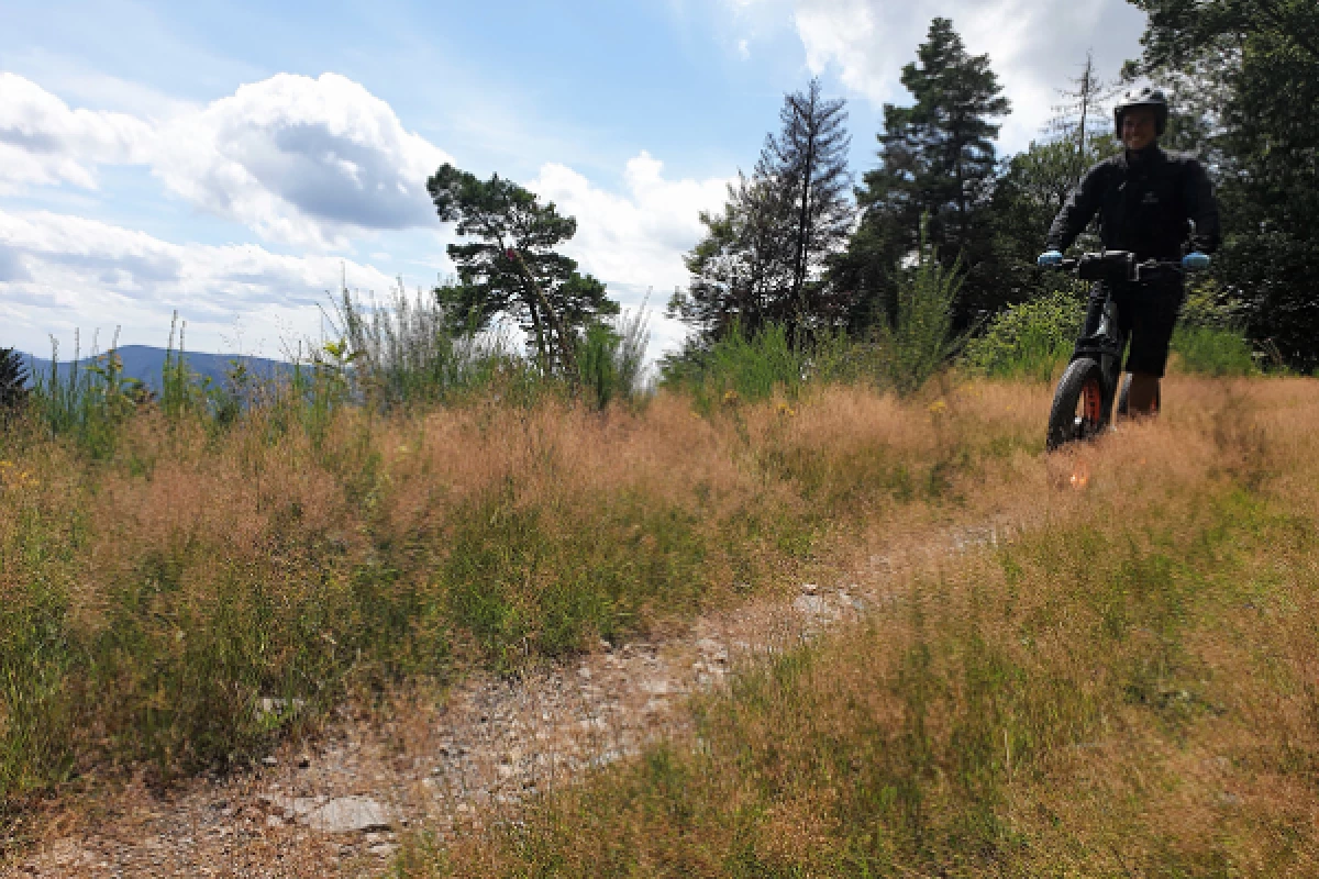 E-Trott Adventure - Park Alsace Aventure - Bonjour Fun