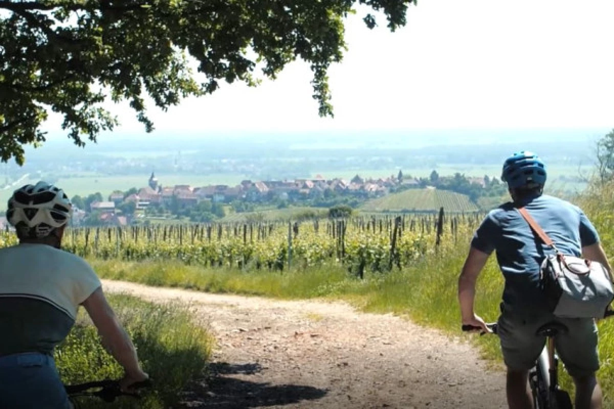 EBike, Picnic & Wine - Bonjour Fun