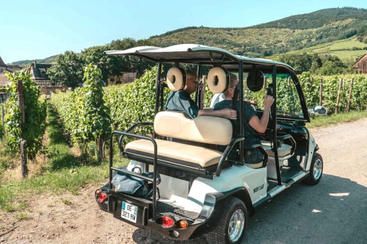 Electric vehicle ride through the vineyards - Bonjour Fun