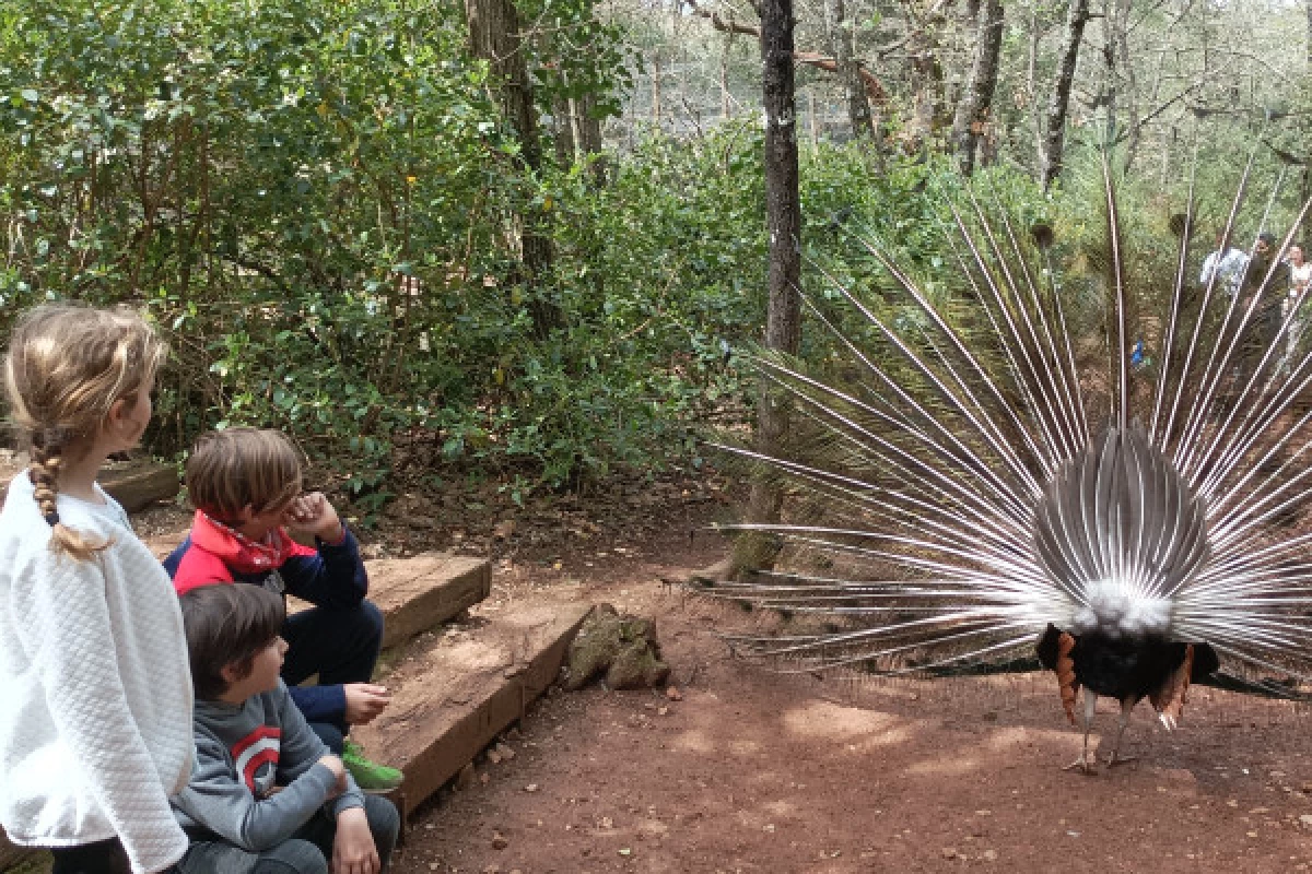 Aoubré Promo access - Aoubré natural parc - Var's heart - Bonjour Fun