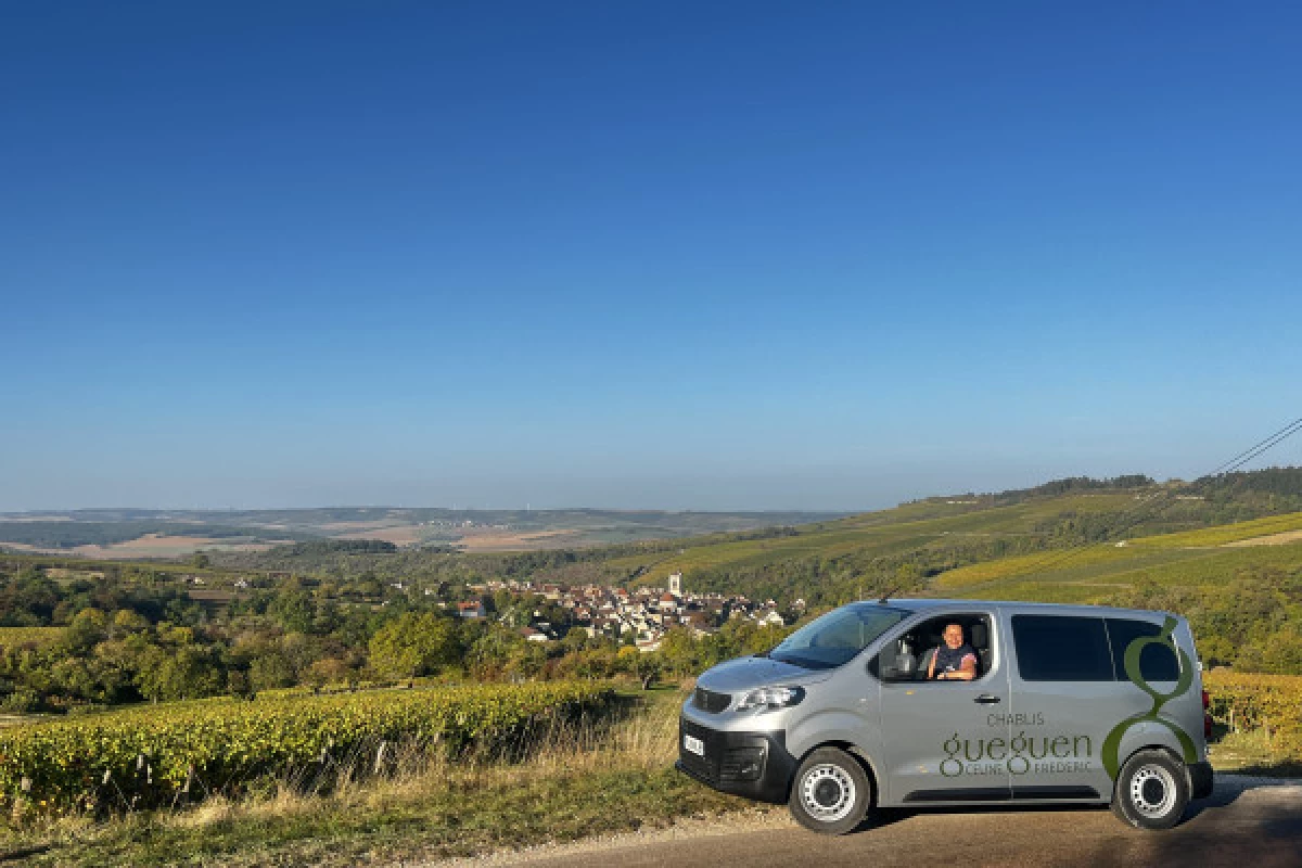 Escapade and tasting in the Chablis Vineyard - Bonjour Fun