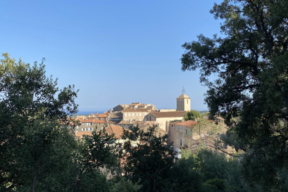 Daytrip Saint Tropez and Ramatuelle in a vintage car - Bonjour Fun