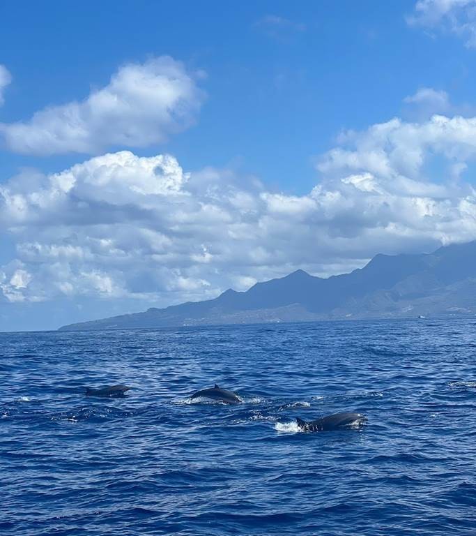 Far North of Martinique - Bonjour Fun