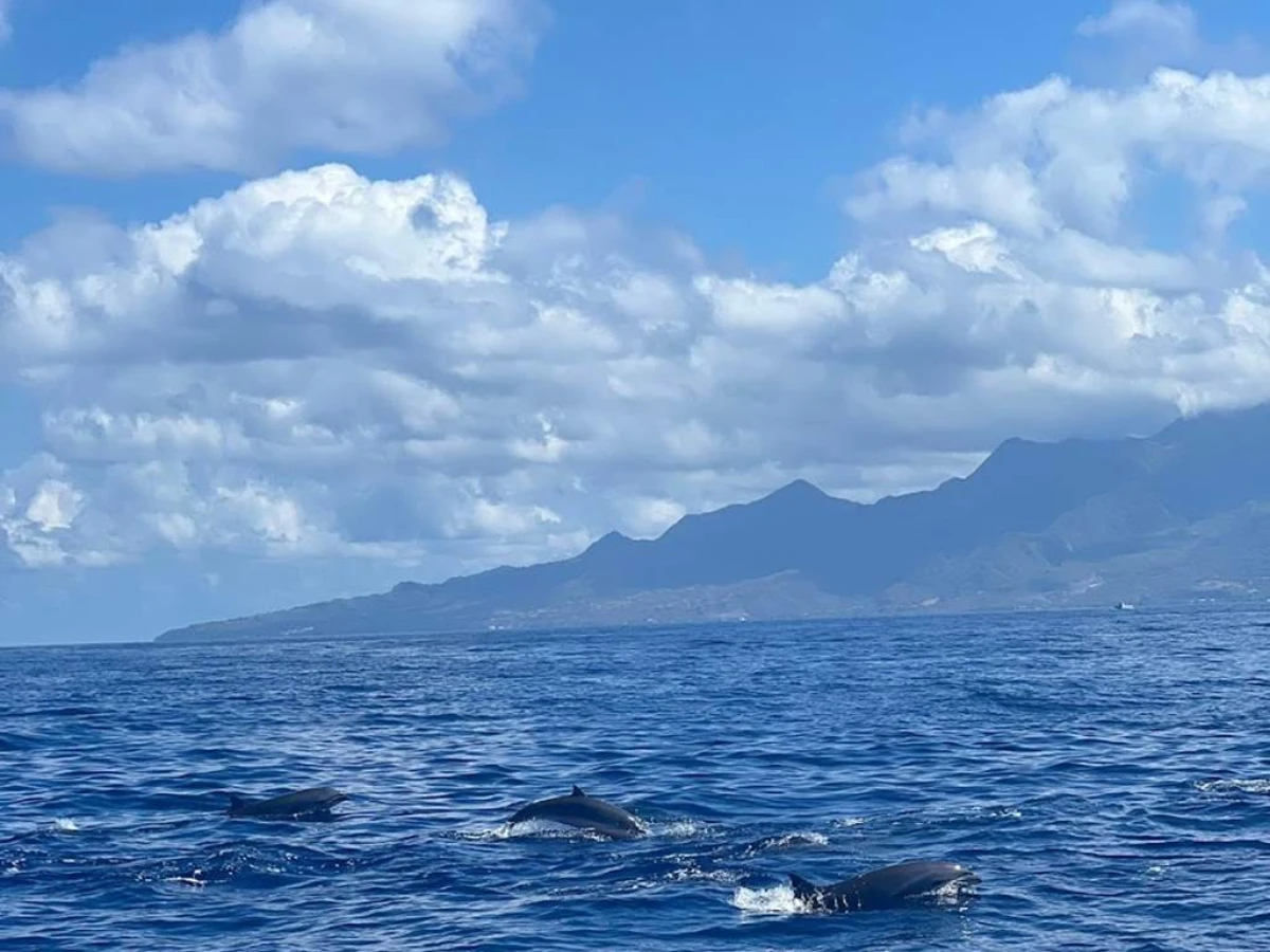 Far North of Martinique - Bonjour Fun