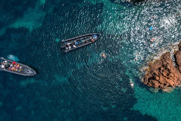 Essential Estérel Calanques 1.5-Hour - Bonjour Fun