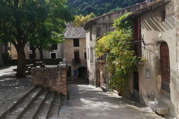 Excursion by minibus - Half day Terrasses du Larzac cave and wine - Bonjour Fun