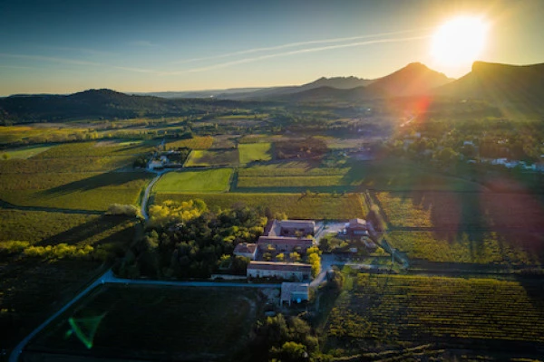 Excursion by minibus Pic Saint Loup - Full Day in a Vineyard - Bonjour Fun