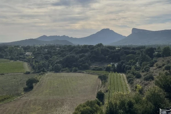 Excursion by minibus Pic Saint Loup - Full Day in a Vineyard - Bonjour Fun