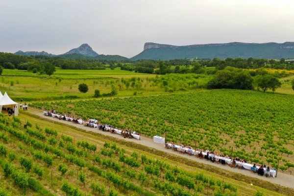 Excursion by minibus Pic Saint Loup - Full Day in a Vineyard - Bonjour Fun