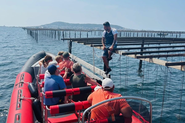 Excursion by minibus Picpoul de Pinet - Half Day Boat Trip and Oysters - Bonjour Fun