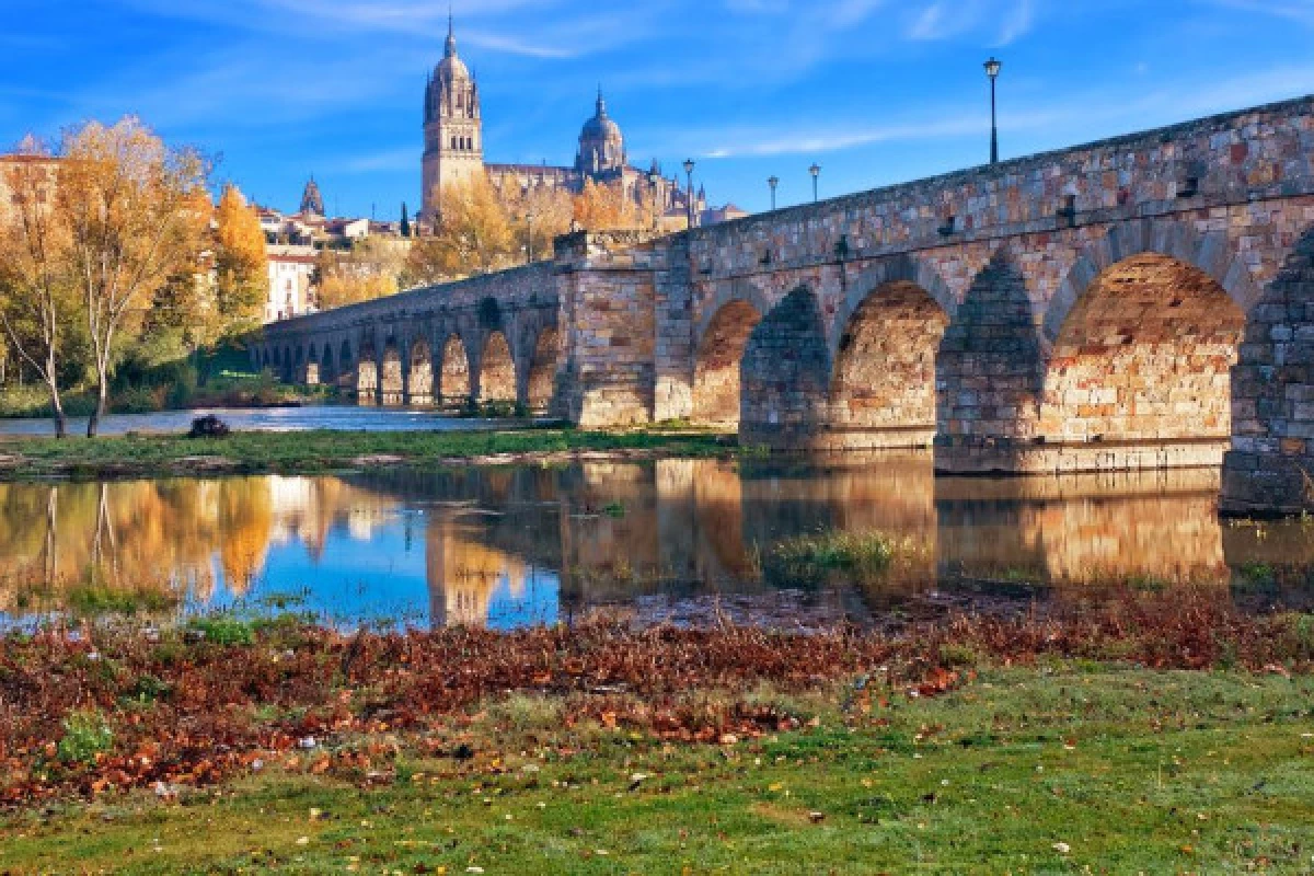 Exclusive Excursion to Salamanca - Bonjour Fun