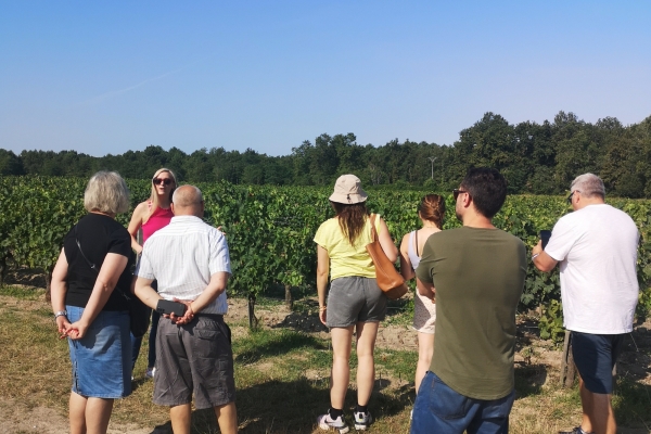 Médoc & Margaux Wine Tour: Classified Growths - Bonjour Fun