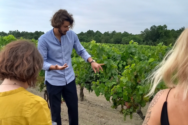 Médoc & Margaux Wine Tour: Classified Growths - Bonjour Fun