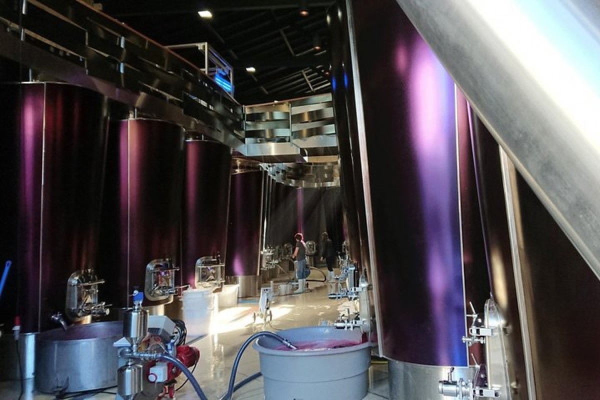 Full-day wine tour in Saint-Emilion (Premium Sedan) - Bonjour Fun