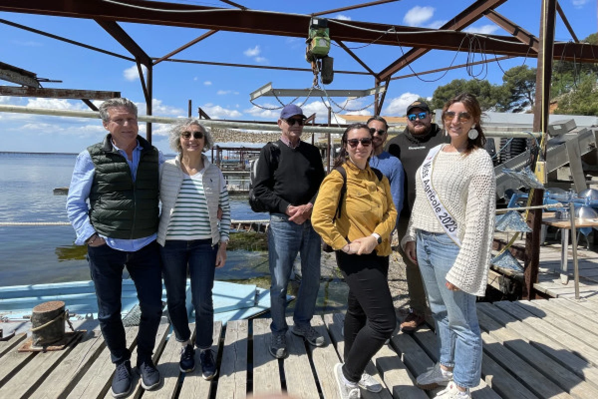 Excursion Picpoul de Pinet  - Half-day Walking tour in Sète and Oysters - Bonjour Fun