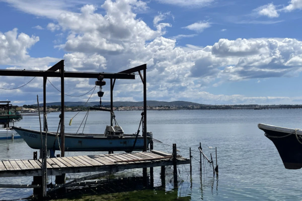 Excursion Picpoul de Pinet  - Half-day Walking tour in Sète and Oysters - Bonjour Fun