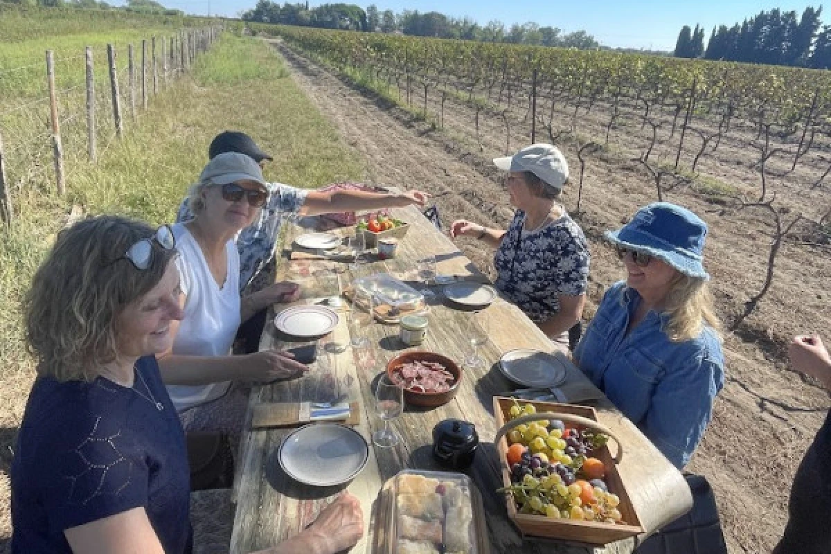 Excursion Sable de Camargue - Full Day Discovering the Camargue - Bonjour Fun