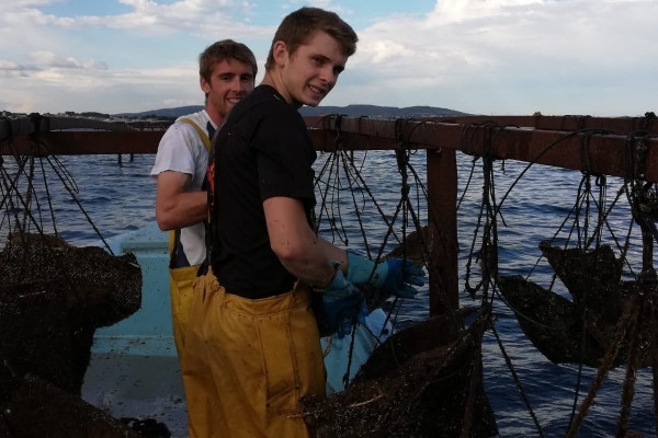 Excursion Sète - Half Day Oysters and Wine - Bonjour Fun
