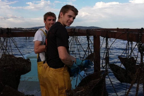 Excursion Sète - Full Day Walking tour of Sète, Oysters and Wine - Bonjour Fun