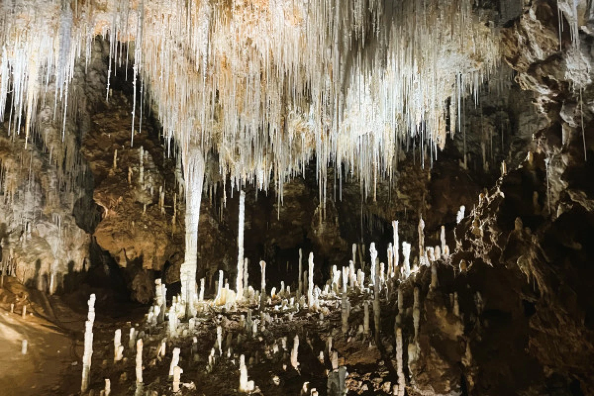 Excursion Terrasses du Larzac - Half day cave and wine - Bonjour Fun