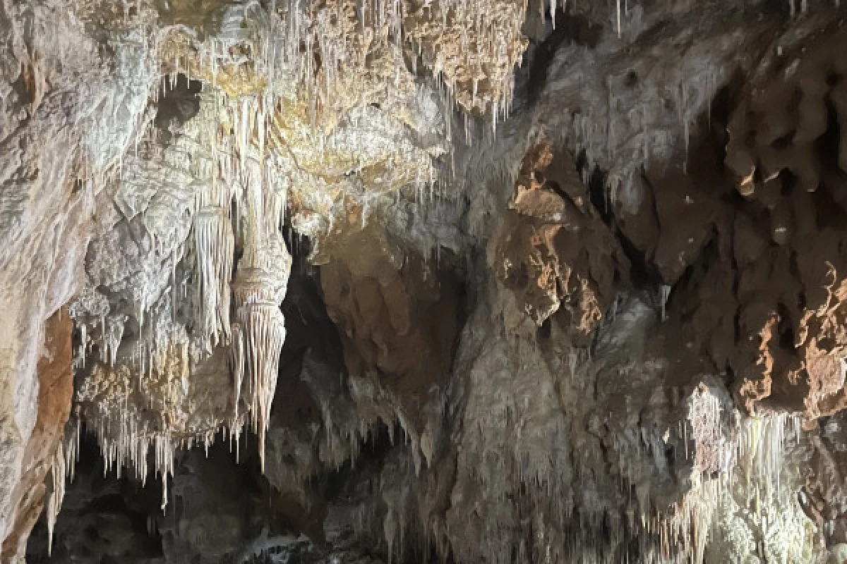 Excursion Terrasses du Larzac - Half day cave and wine - Bonjour Fun