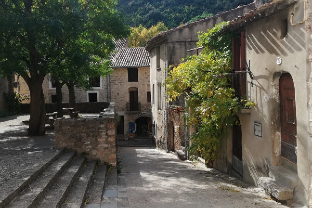 Excursion Terrasses du Larzac - Half day cave and wine - Bonjour Fun