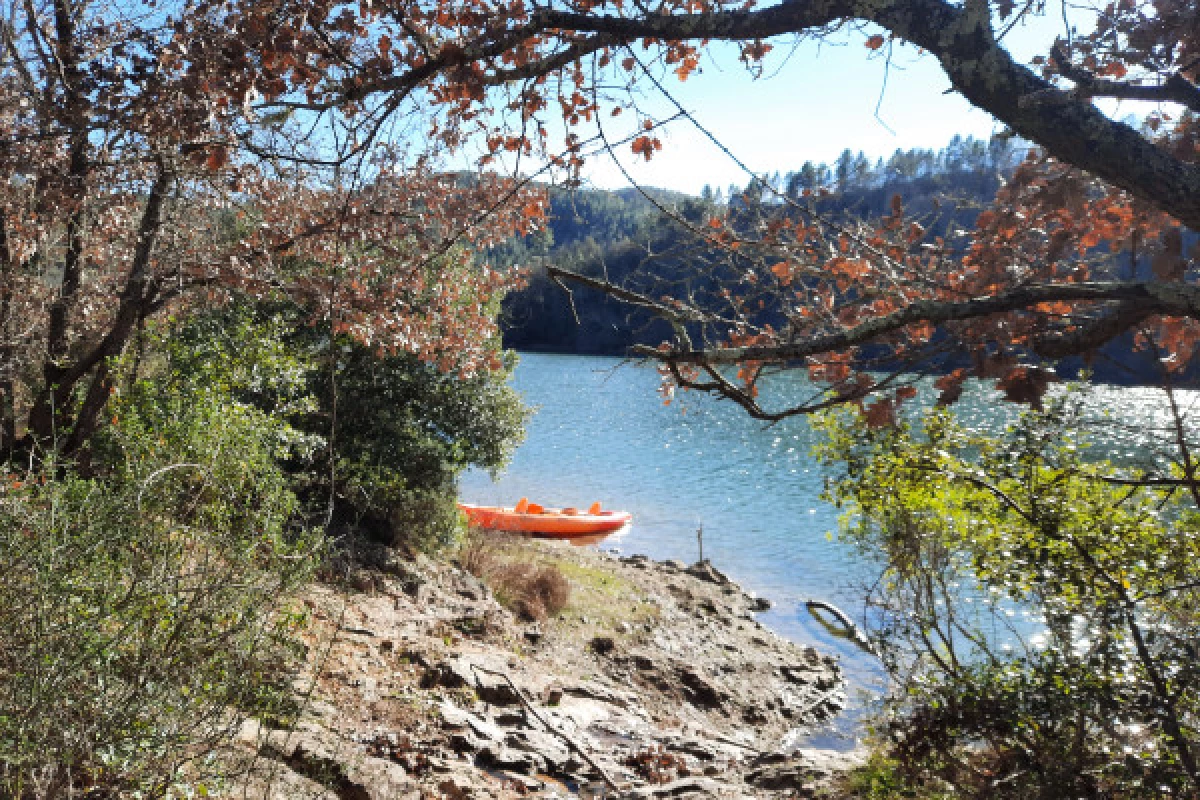 Kayak expedition - Bonjour Fun