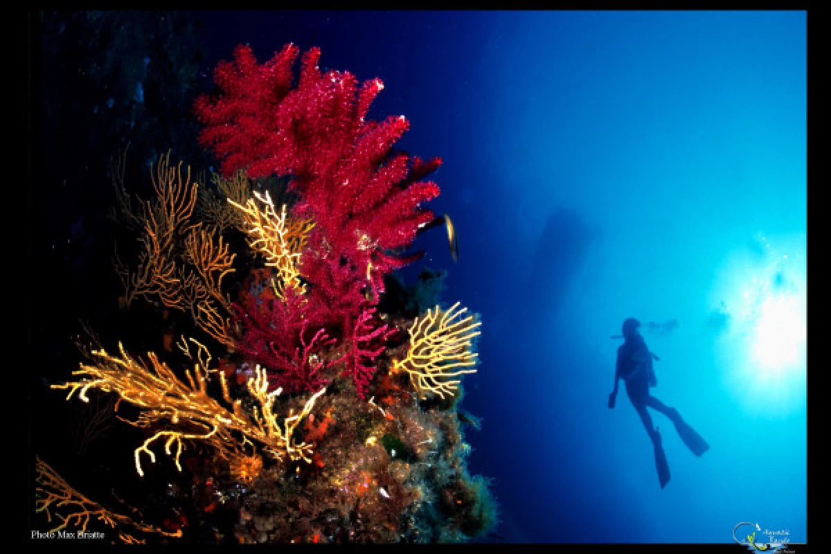 First Scuba Diving - Fréjus - Bonjour Fun