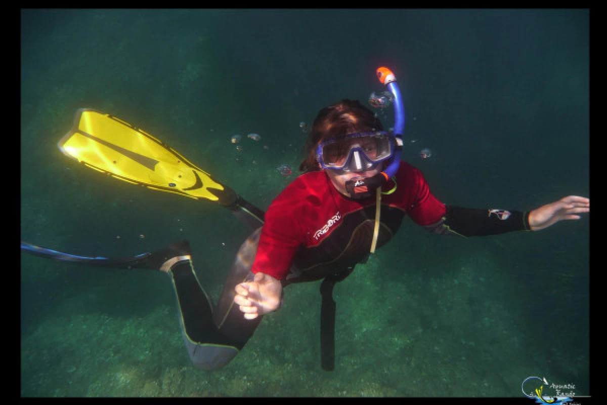 First Scuba Diving - Fréjus - Bonjour Fun