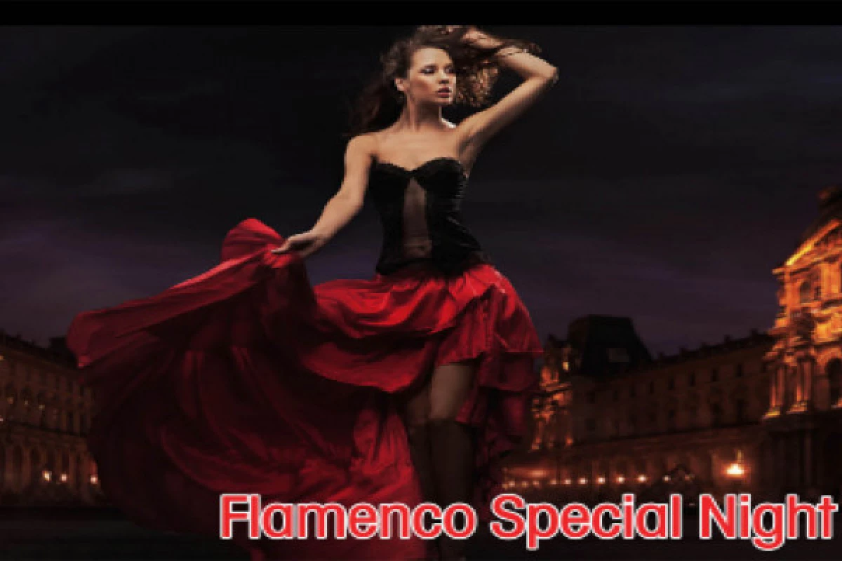 Flamenco Movie with dinner for two persons - Bonjour Fun